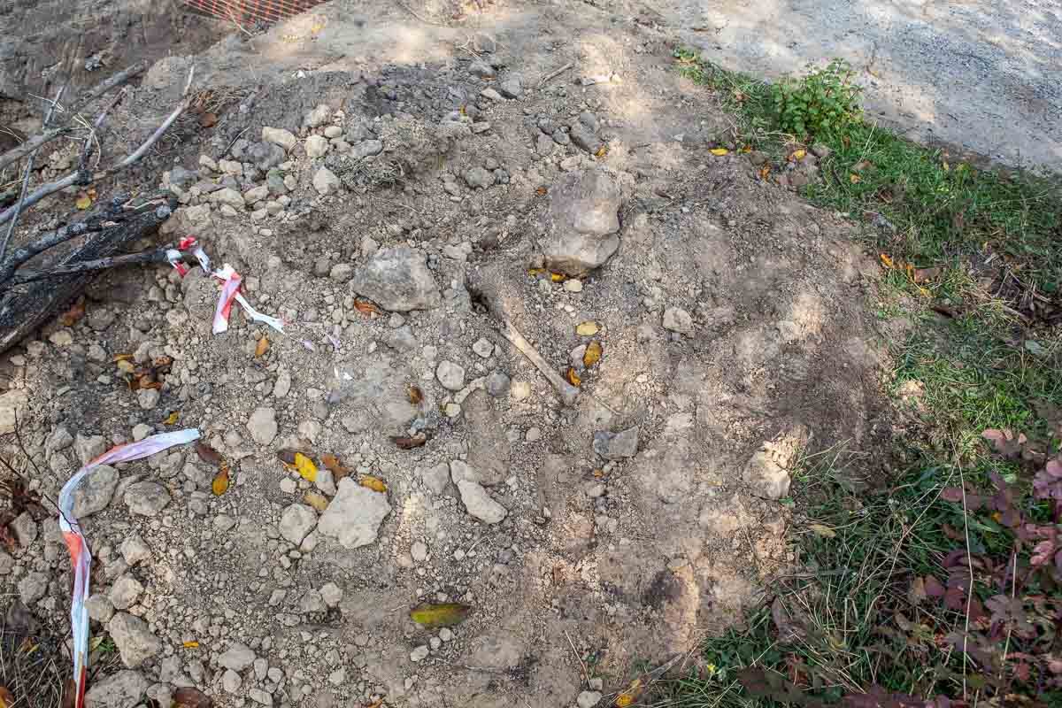 Возле Севастопольского парка обнаружили человеческие кости: история и что сделают с останками 1
