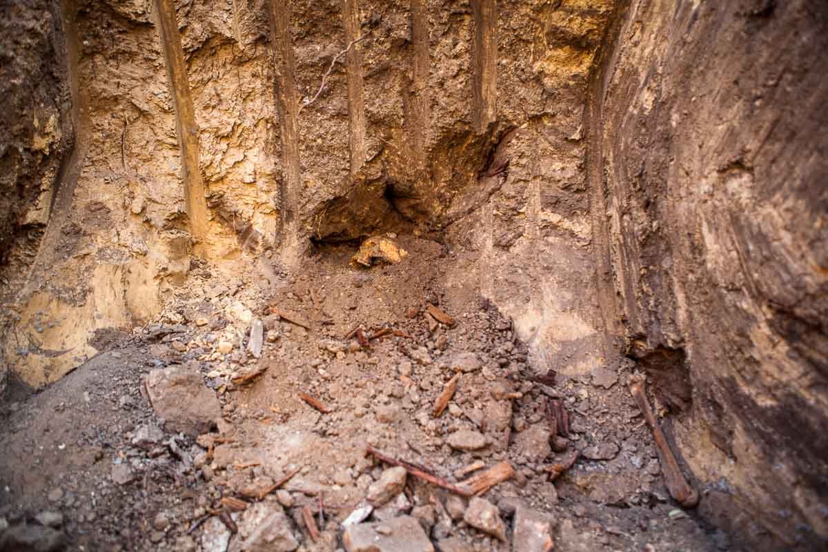 Возле Севастопольского парка обнаружили человеческие кости: история и что сделают с останками 6