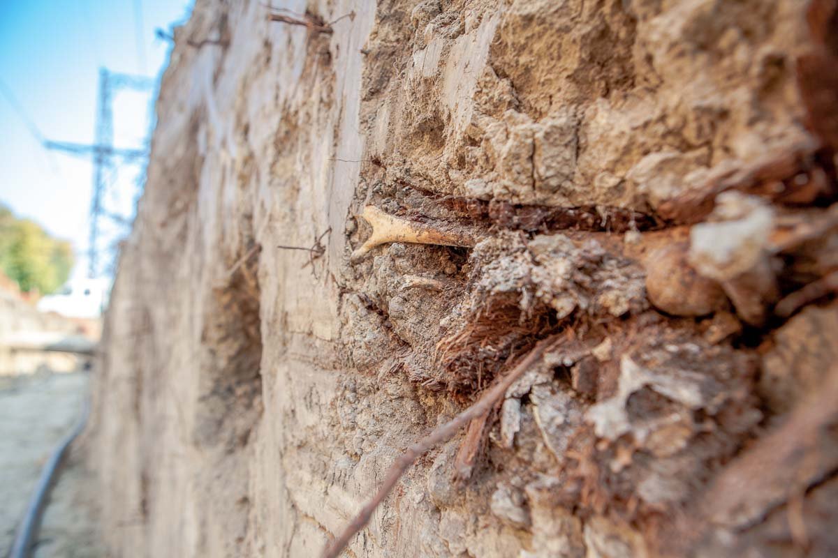 Возле Севастопольского парка обнаружили человеческие кости: история и что сделают с останками 9