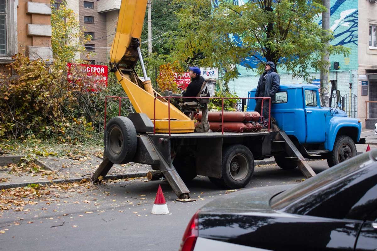 Процесс работы контролирует бригадир На Короленко омолаживают деревья и спиливают аварийные ветки 2