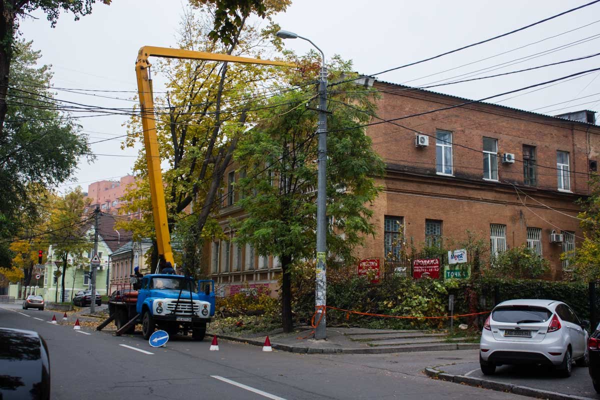 Работа не мешает дорожному движению На Короленко омолаживают деревья и спиливают аварийные ветки 4