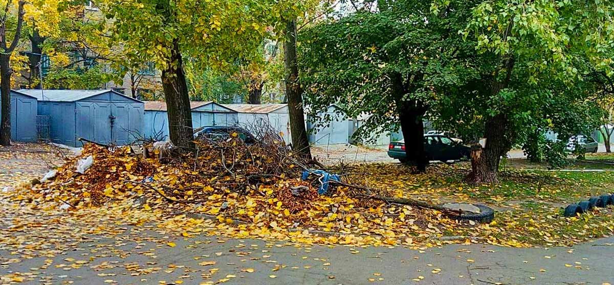 Местные жители не могут добиться, чтобы свалку убрали В Днепре на Новоорловской свалку не убирают с апреля 2