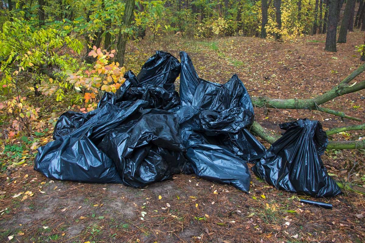 Результат раннего подъема в субботу Шприцы, памперсы и кости: в Днепре прошел экопикник 10