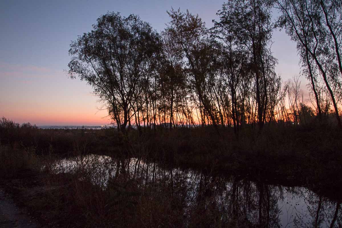 Как проснулся Днепр 23 октября: фото рассвета с косы на Победе 1