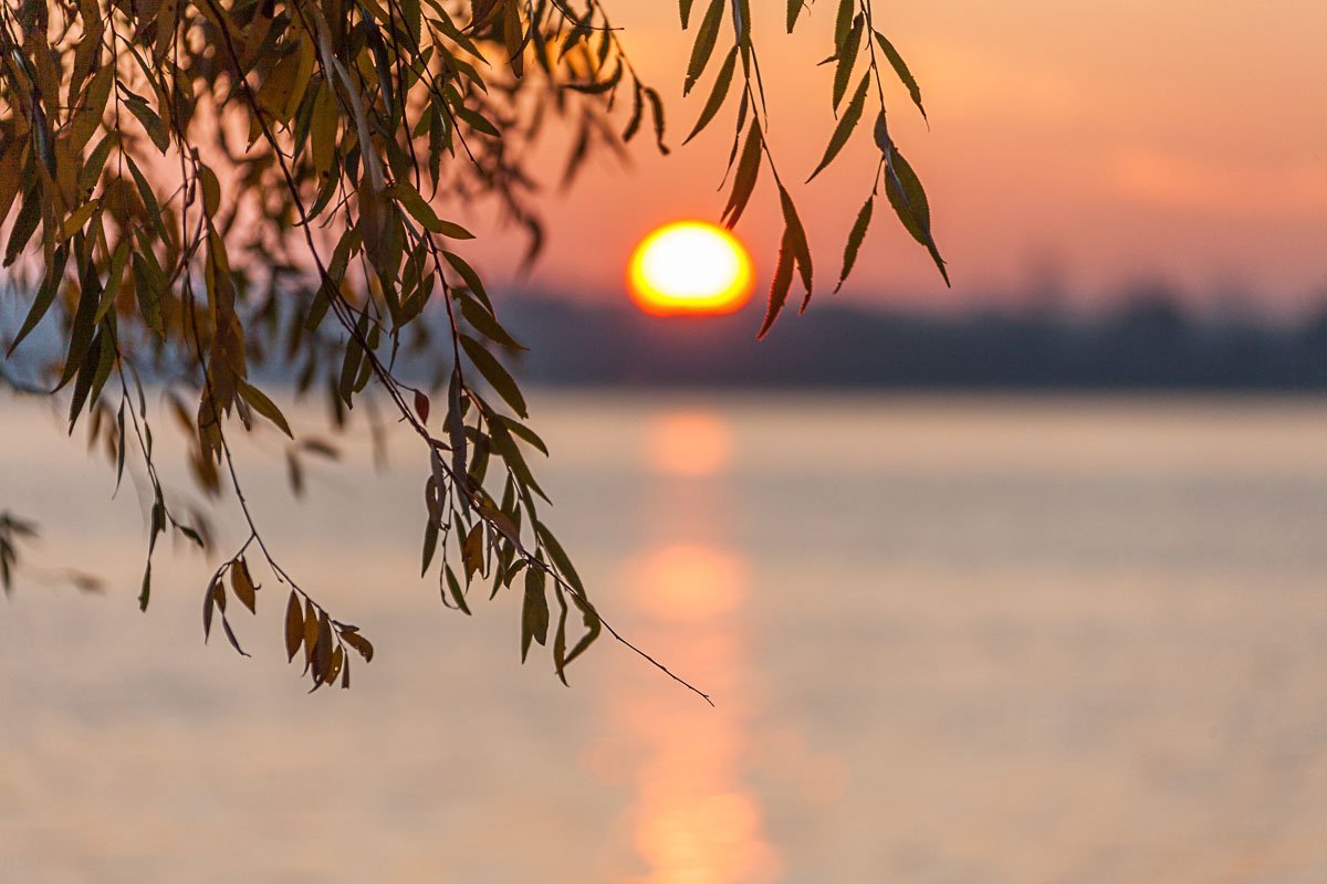 Как проснулся Днепр 23 октября: фото рассвета с косы на Победе 11