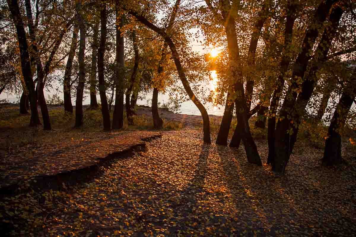 Как проснулся Днепр 23 октября: фото рассвета с косы на Победе 12