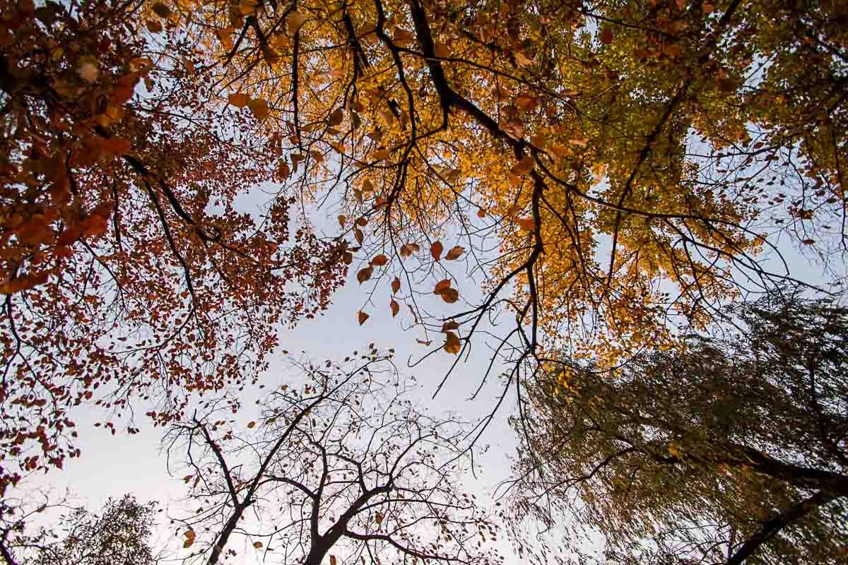 Как проснулся Днепр 23 октября: фото рассвета с косы на Победе 13