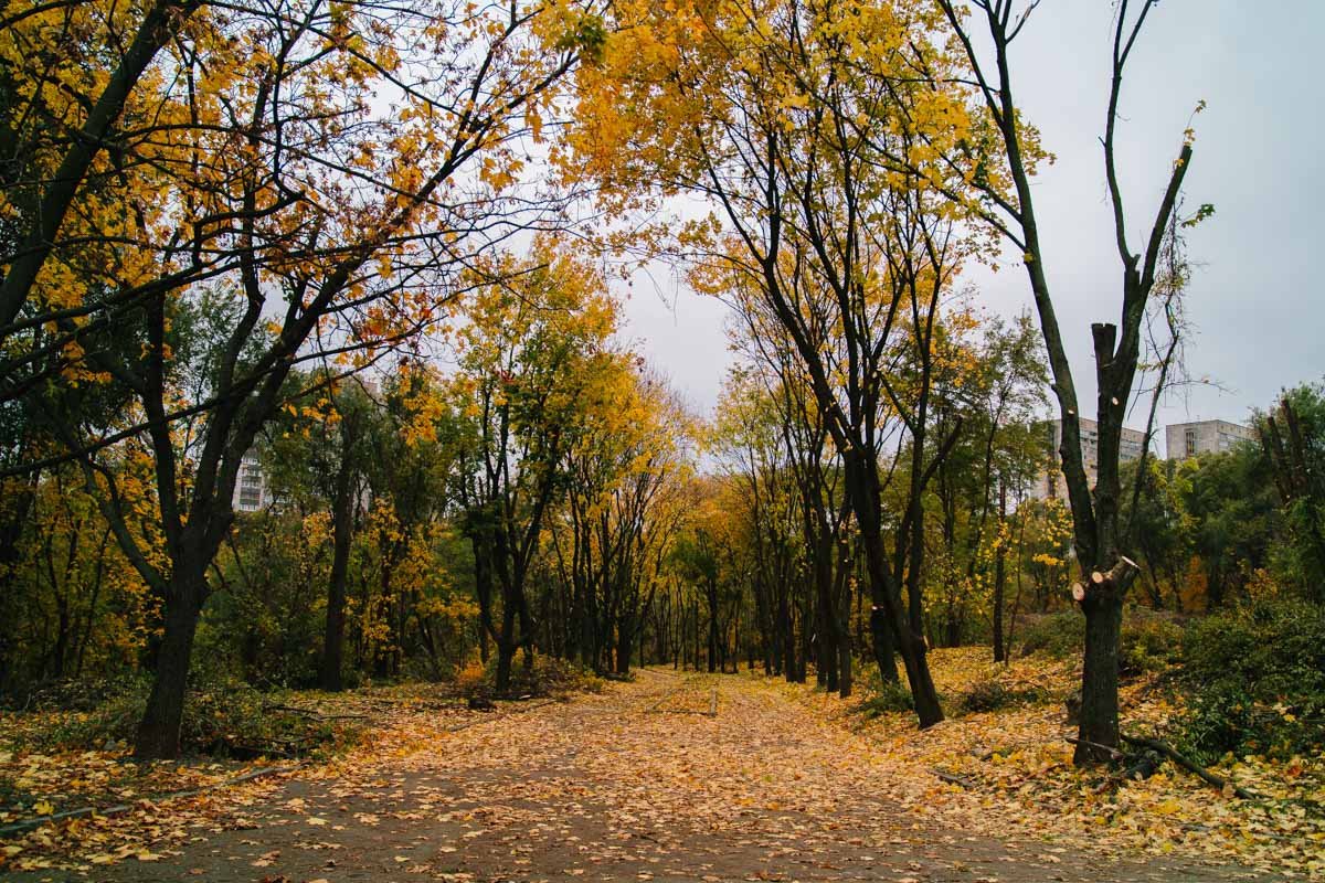 В ожидании реконструкции: как выглядит парк "Зеленый Гай" сегодня 1