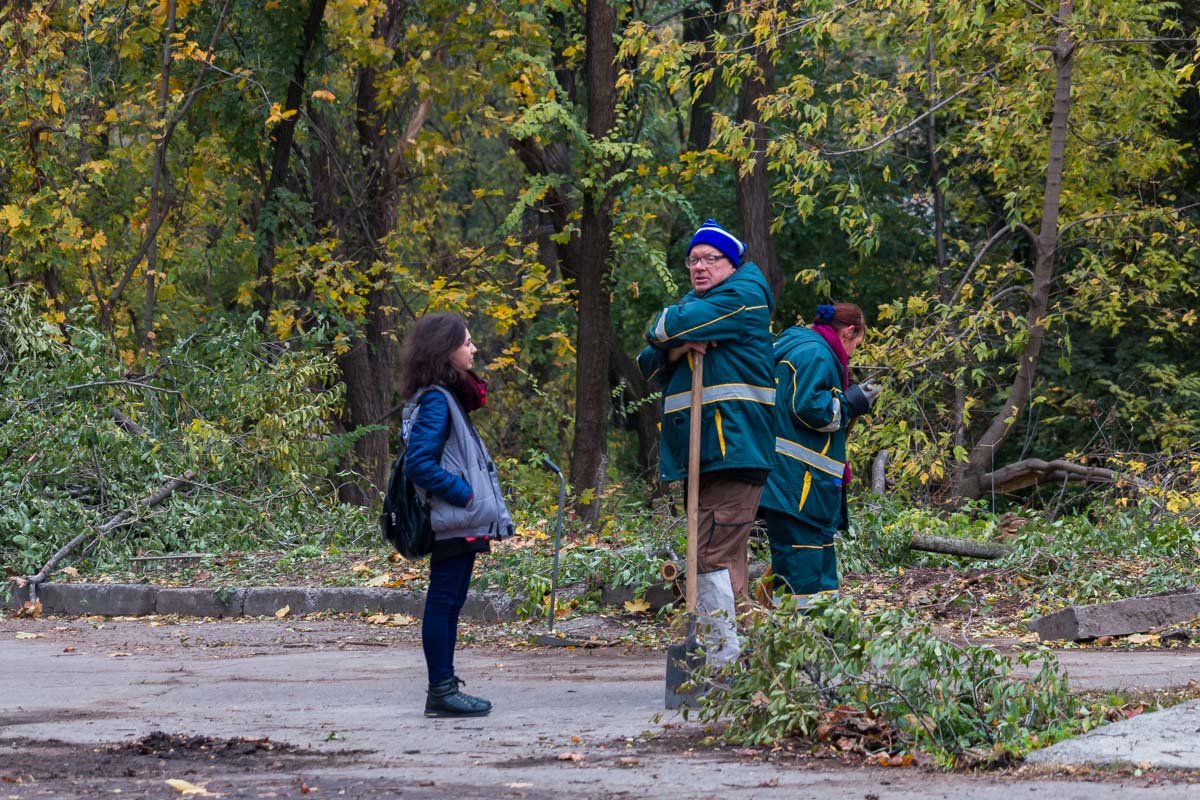 В ожидании реконструкции: как выглядит парк "Зеленый Гай" сегодня 5