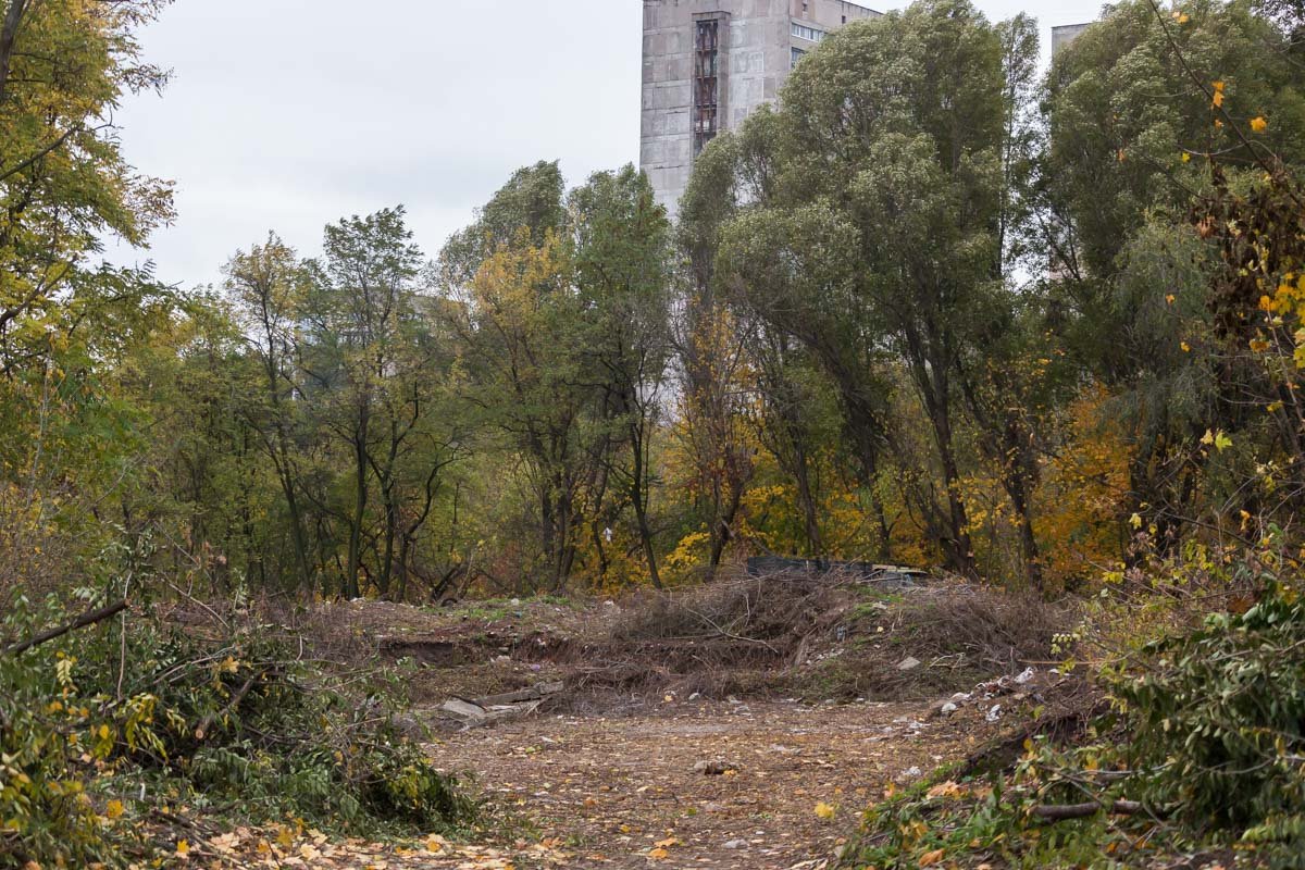 В ожидании реконструкции: как выглядит парк "Зеленый Гай" сегодня 12