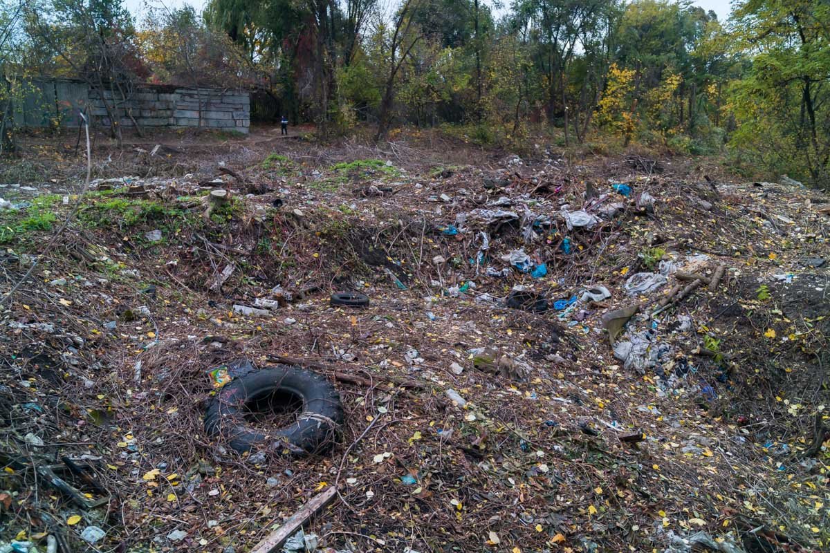 В ожидании реконструкции: как выглядит парк "Зеленый Гай" сегодня 13