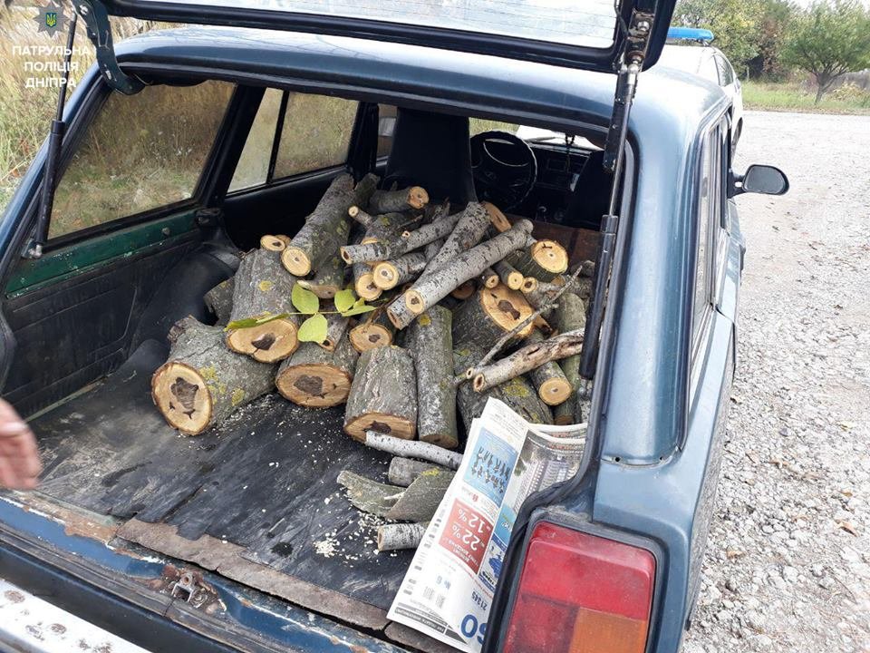 В Днепре полиция задержала мужчину, который рубил деревья 1