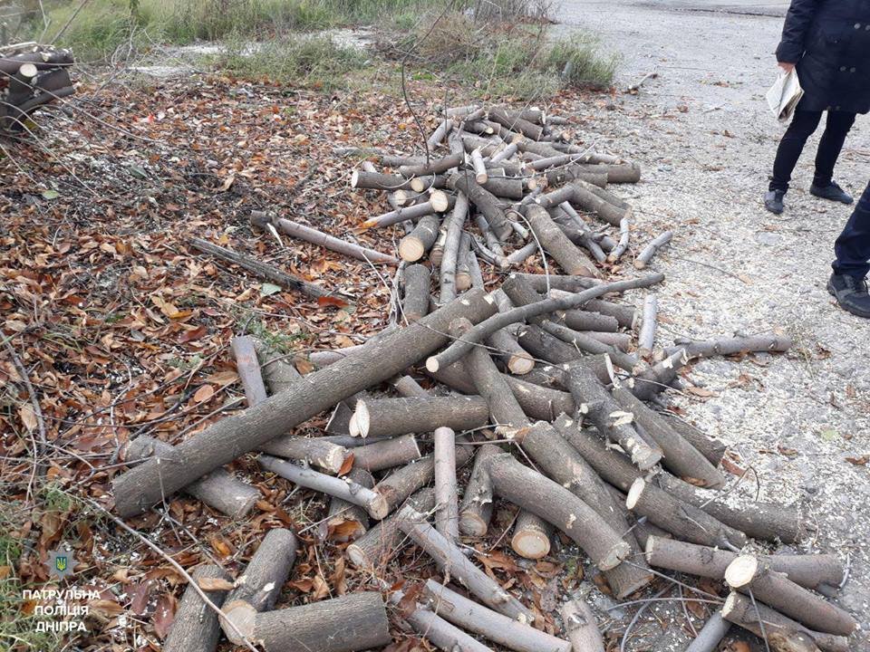 В Днепре полиция задержала мужчину, который рубил деревья 2
