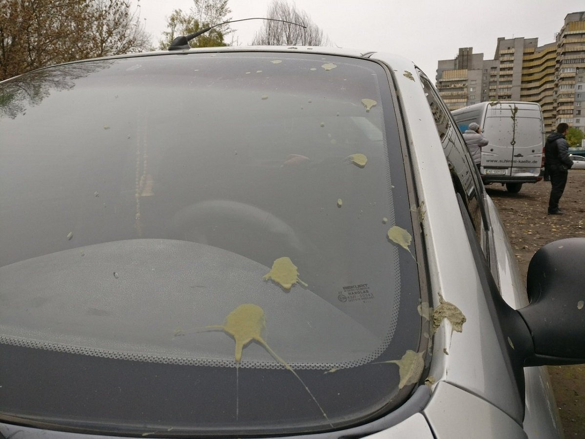 На Красном Камне неизвестные облили автомобили химикатами 1