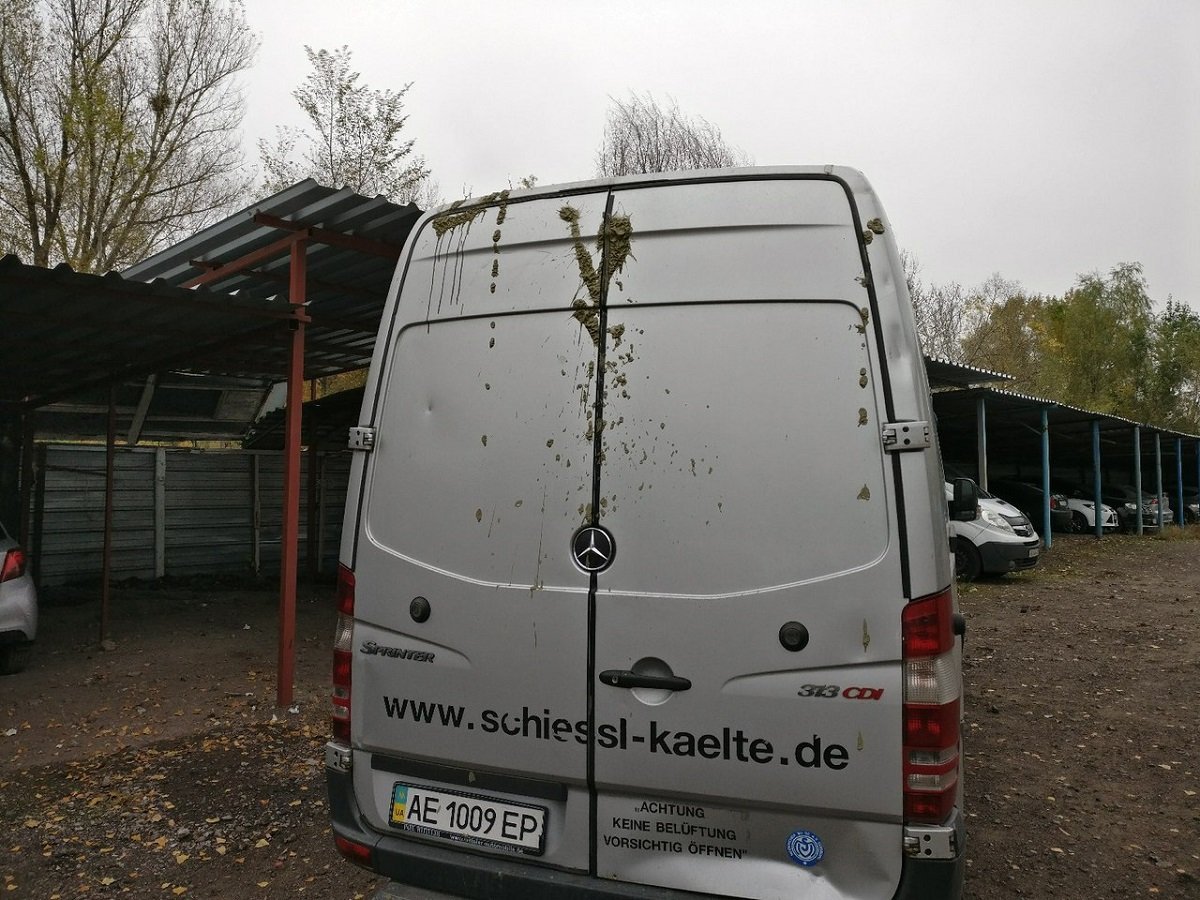 На Красном Камне неизвестные облили автомобили химикатами 2