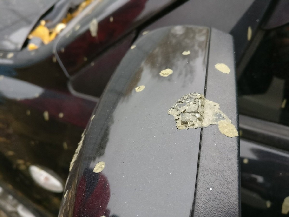 На Красном Камне неизвестные облили автомобили химикатами 5