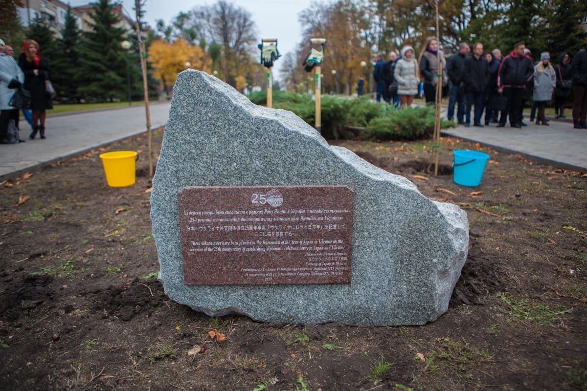 В Днепре Борис Филатов и посол Японии сажали сакуры 4