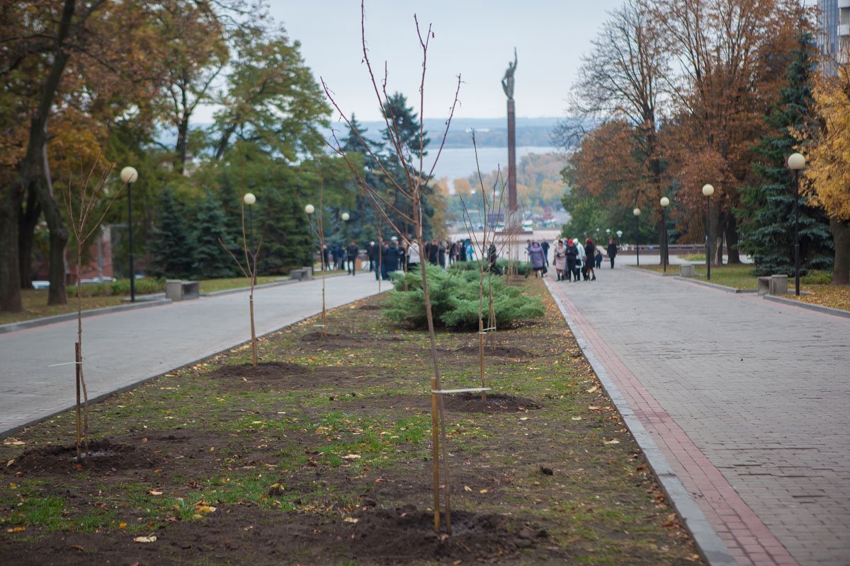 В Днепре Борис Филатов и посол Японии сажали сакуры 7