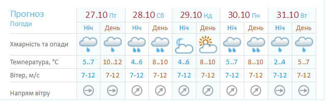 В Днепре пошел первый снег 1