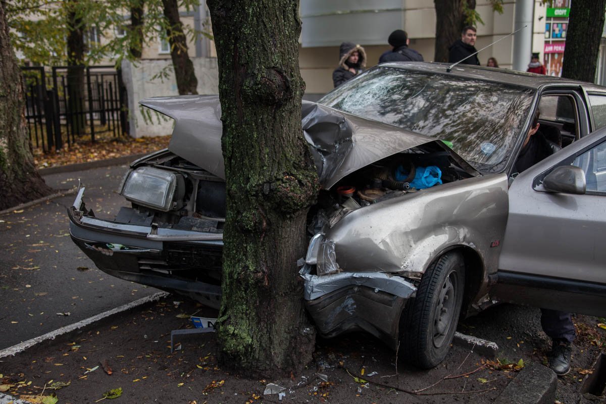 ДТП на проспекте Гагарина: Renault влетел в дерево 1