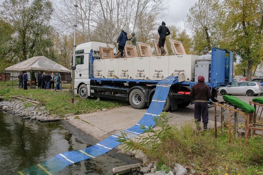 Цьогоріч у Дніпро для очищення річки випустять 1,2 мільйона мальків, – Валентин Резніченко 1