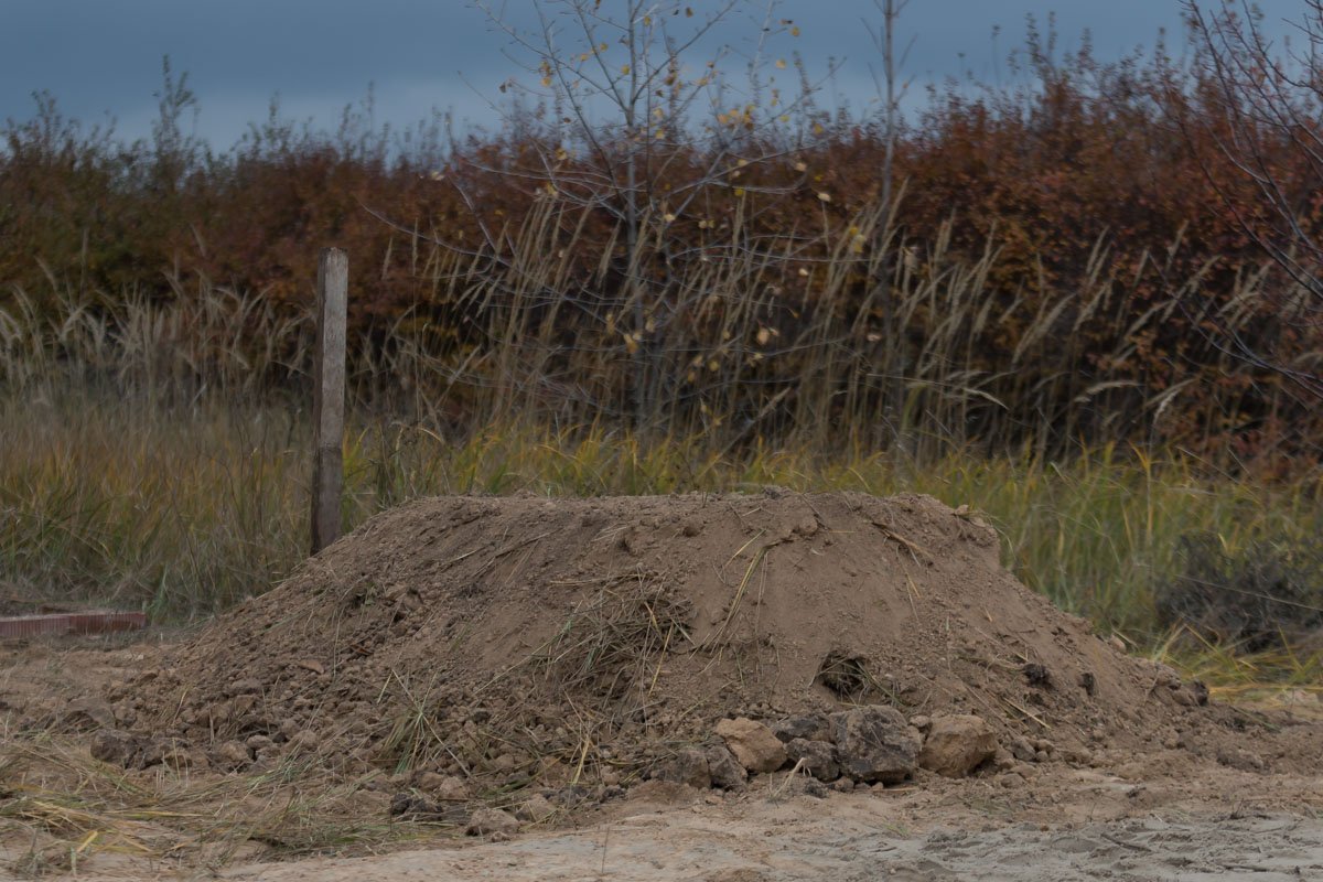 Погибла Амина Окуева 30 октября под Киевом