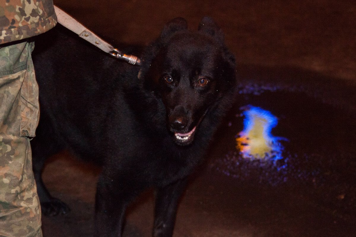 Сообщившему о ложном минировании грозит 2 до 6 лет лишения свободы Сообщившему о ложном минировании грозит 2 до 6 лет лишения свободы