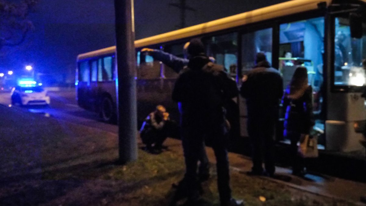 Патрульные обыскивают одного из участников драки