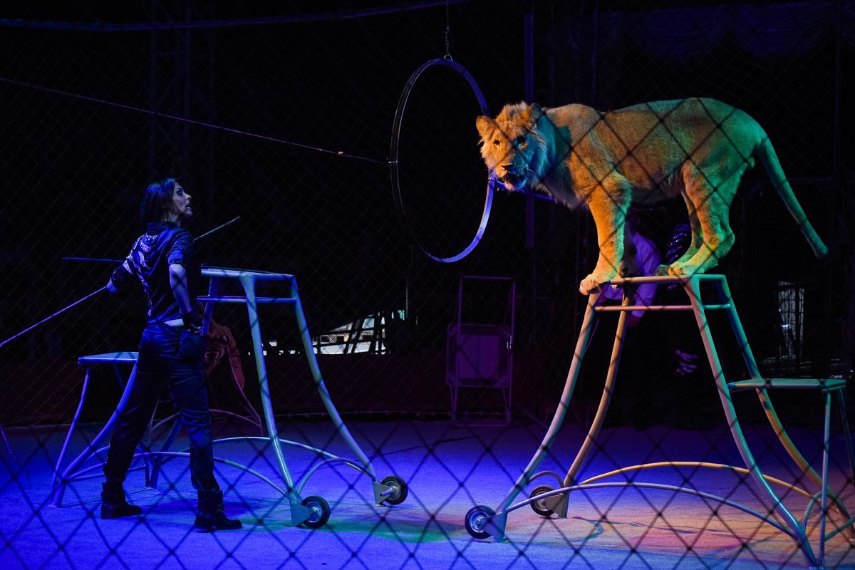 5 ноября в Днепре: куда пойти сегодня 2