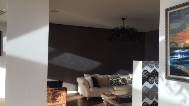 Дизайнерская перегородка, дорогая мебель и картины - все, о чем может мечтать ценитель прекрасного