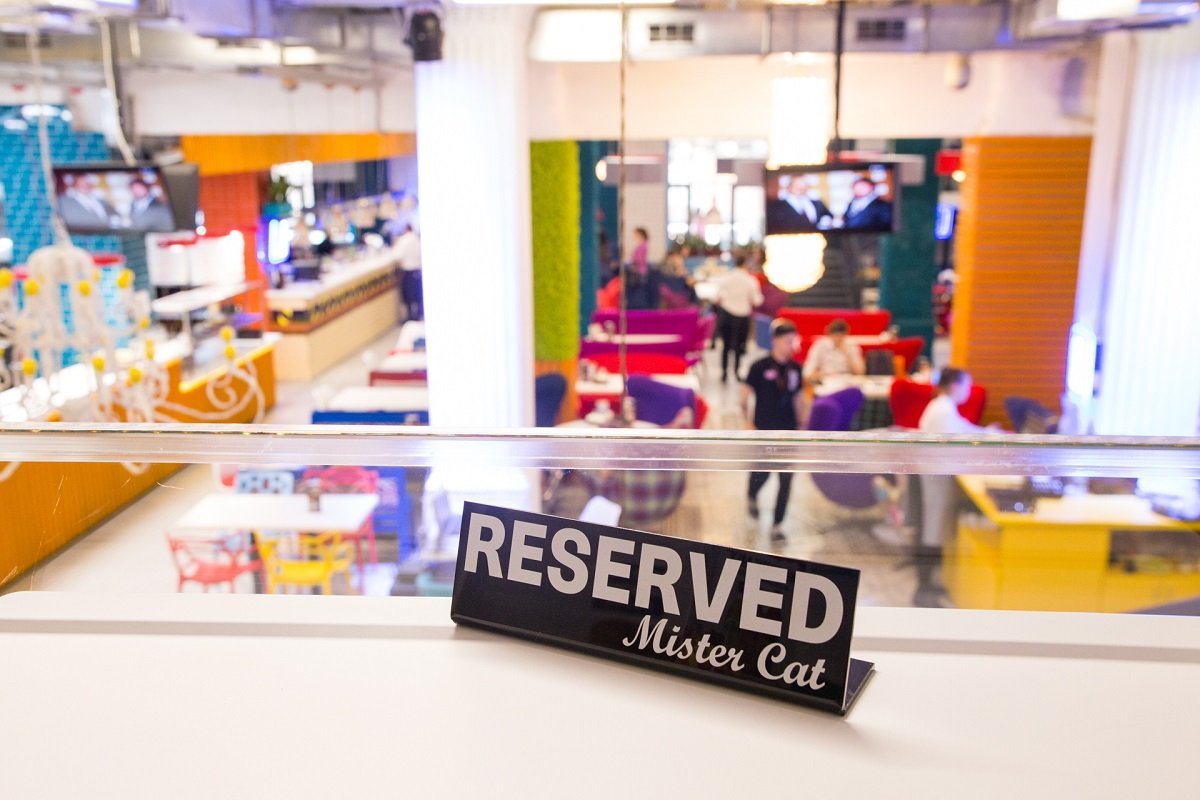 В центре Днепра откроется лофт-пиццерия Mister Cat 7