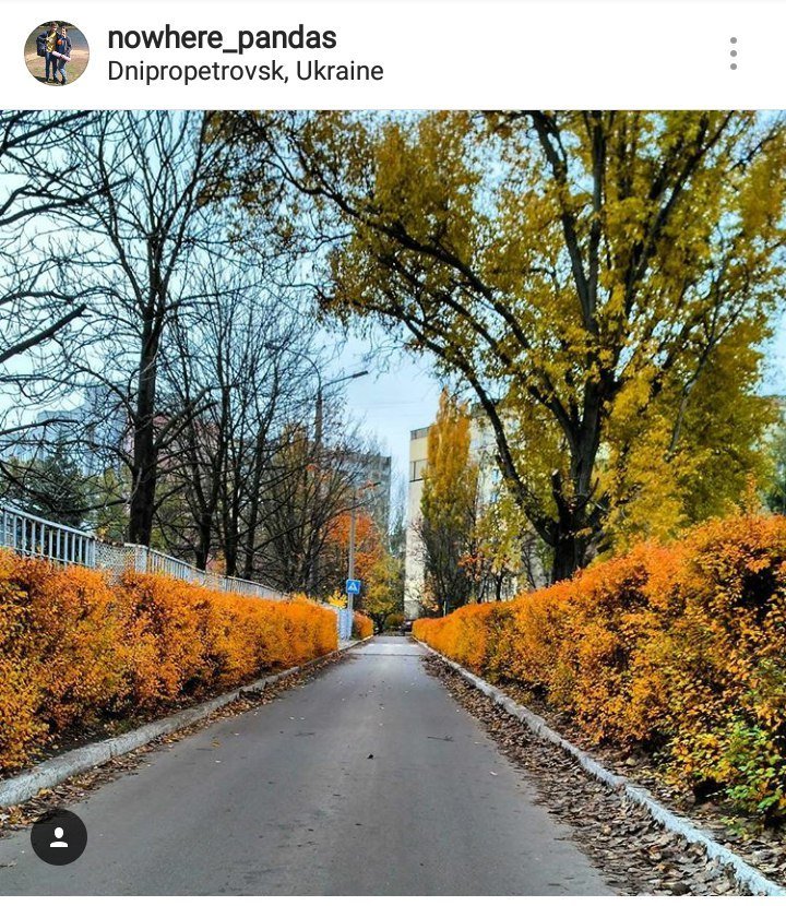 В Днепре осень уже давно вступила в свои права