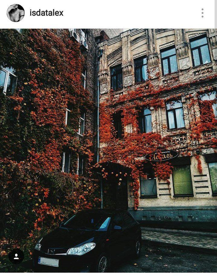 Дома в уютном дворике в Днепре поросли растениями