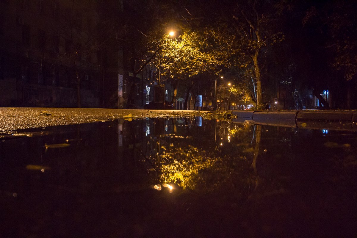 Деревья стараются из последних сил, чтобы еще хоть немного порадовать жителей осенним уютом