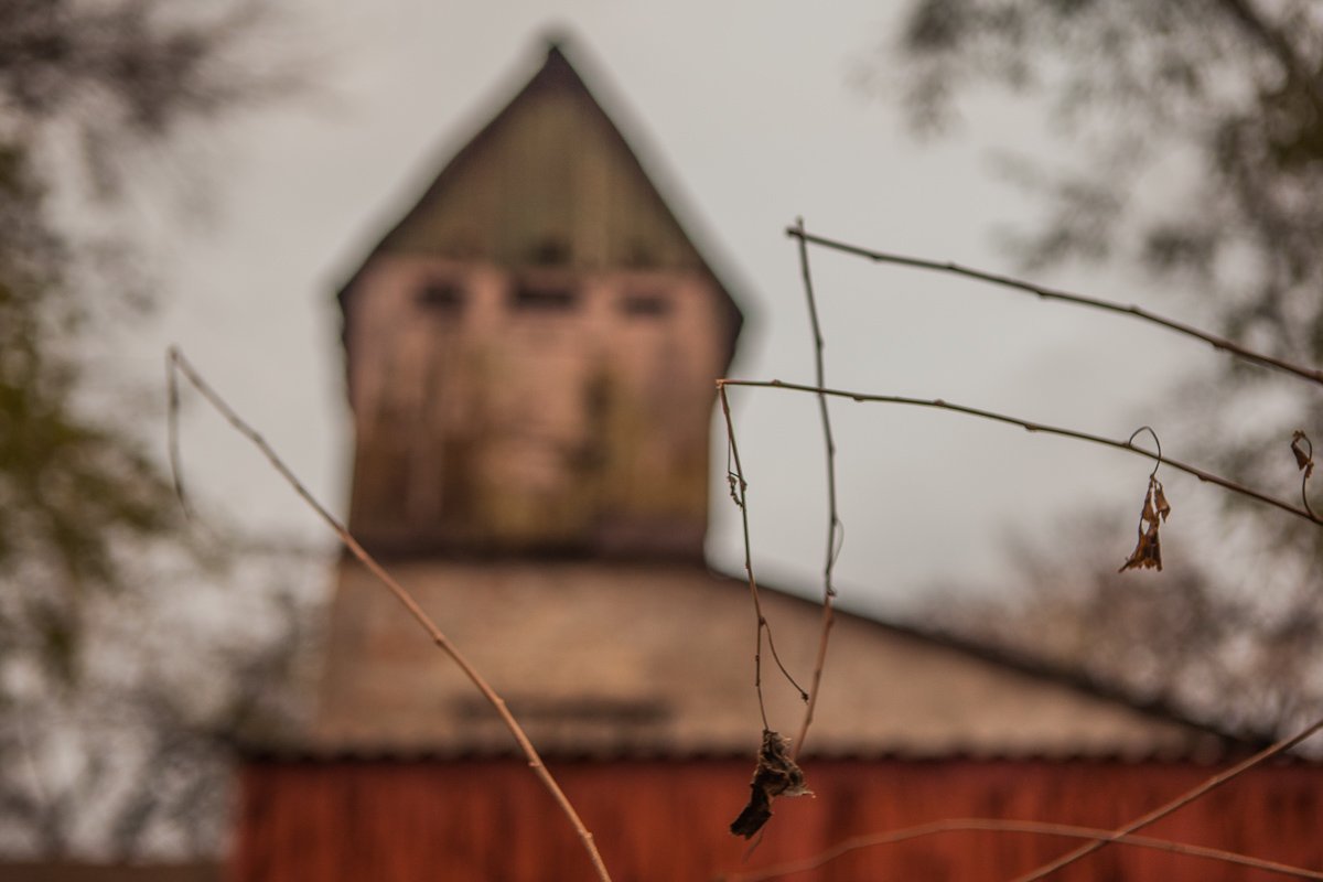Тонкая грань между жизнью и осенью Тонкая грань между жизнью и осенью