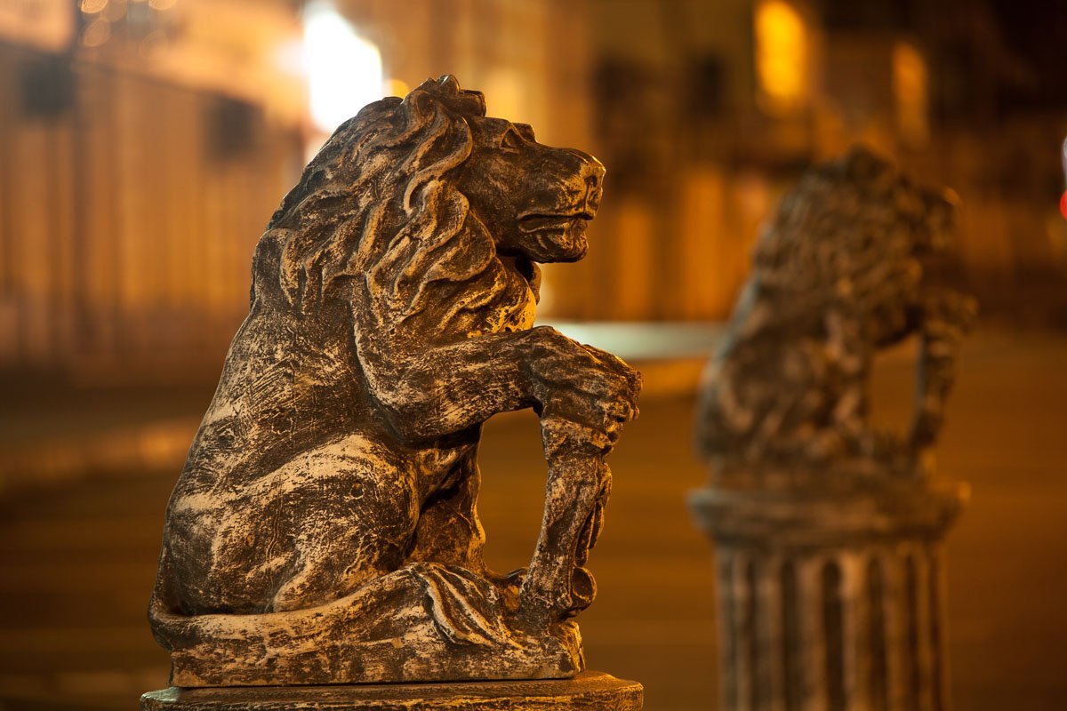 Хищники следят за порядком в городе