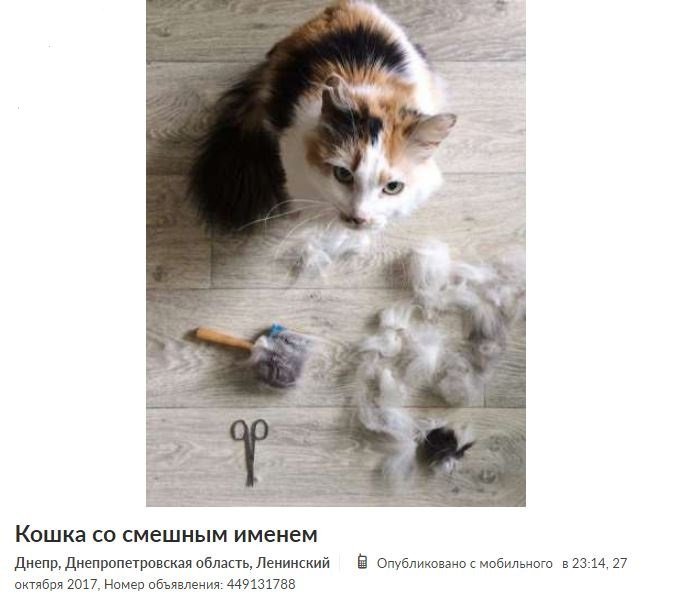 ТОП самых нестандартных объявлений на OLX в Днепре 3