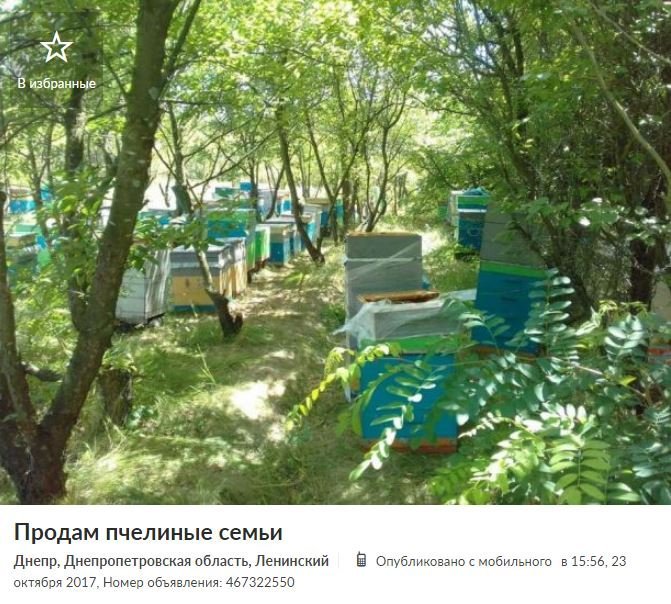 ТОП самых нестандартных объявлений на OLX в Днепре 6