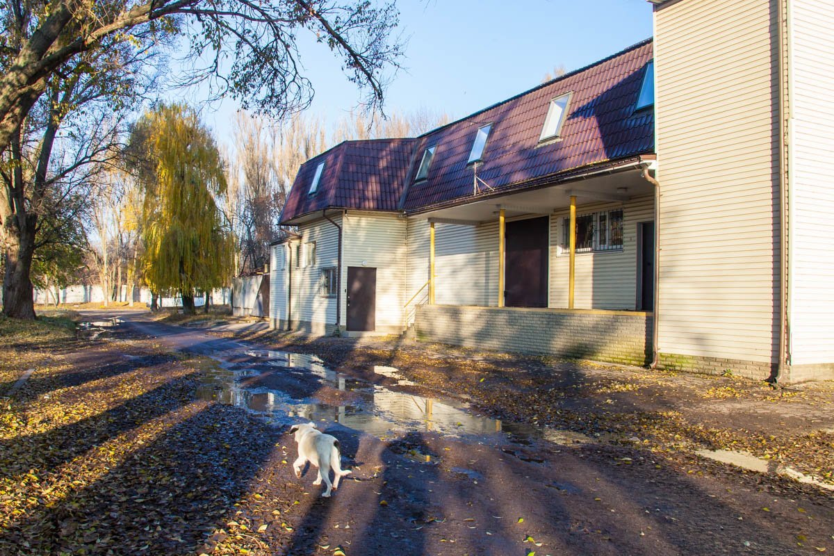 Вода течет вниз, в сторону моста, где случилось ДТП Вода течет вниз, в сторону моста, где случилось ДТП