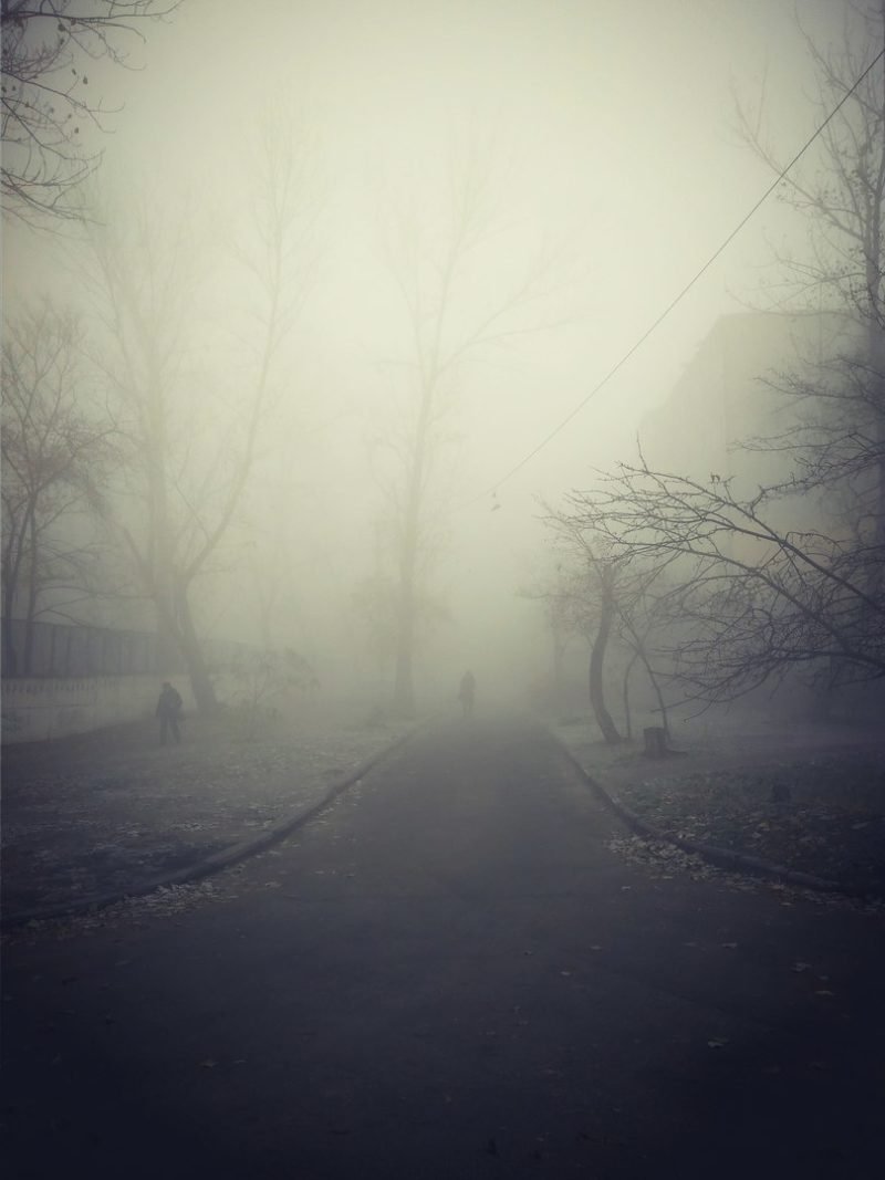 Дворы тоже утонули в белой пелене