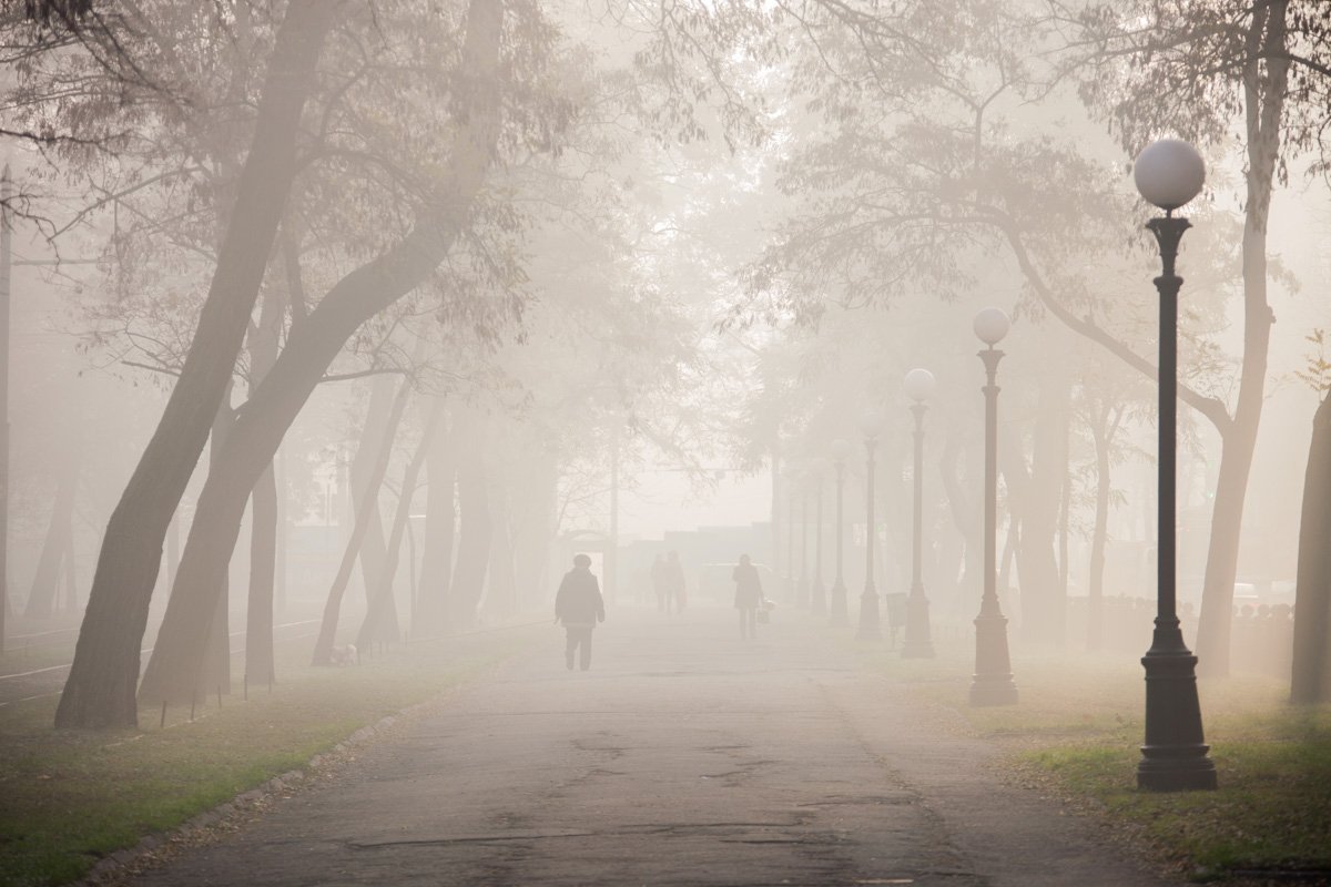 Утром улицы Днепра погрузились в туман