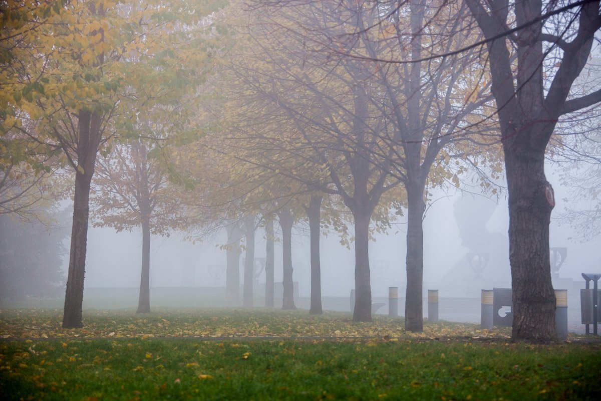 Парк хранит свои тайны
