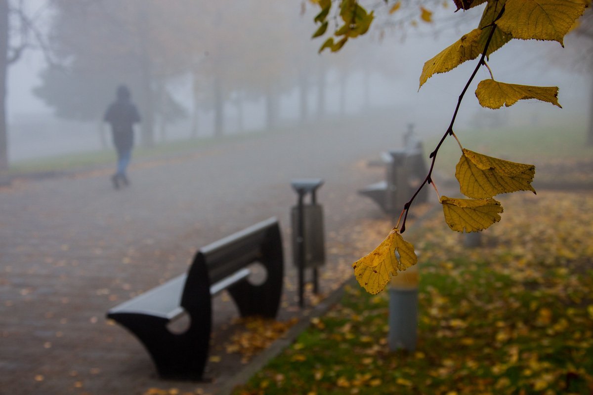 Туманная набережная Днепра