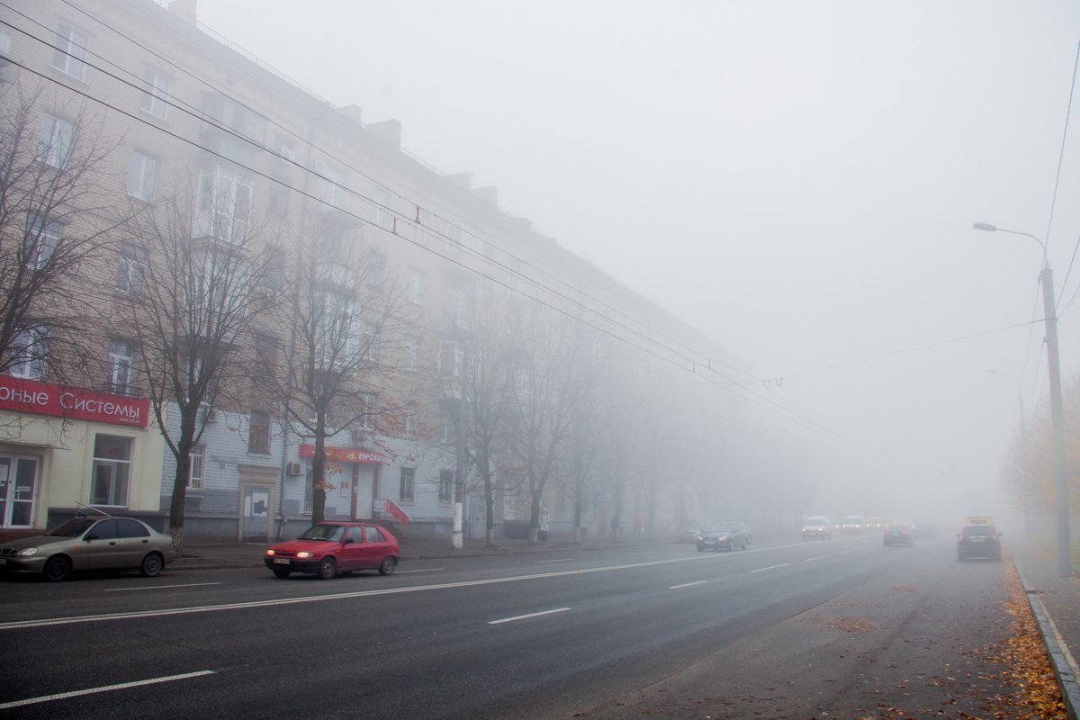 И лишь огни машин пробиваются сквозь стену из молока