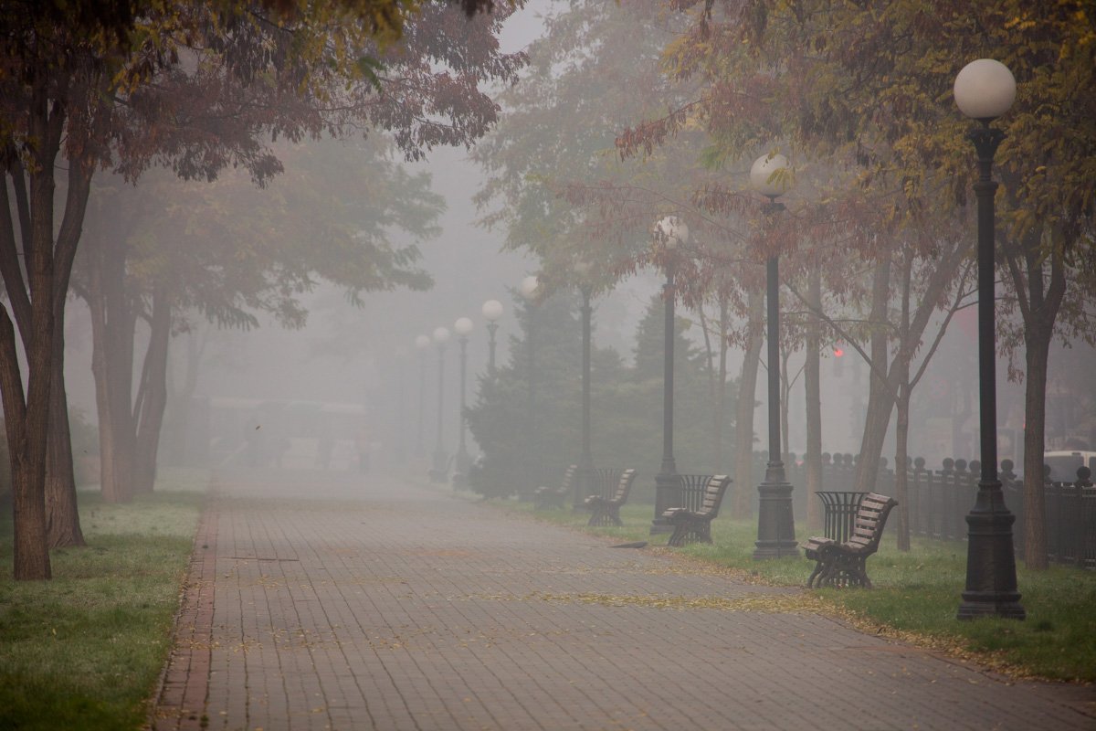 Проспект Дмитрия Яворницкого в тумане особо прекрасен