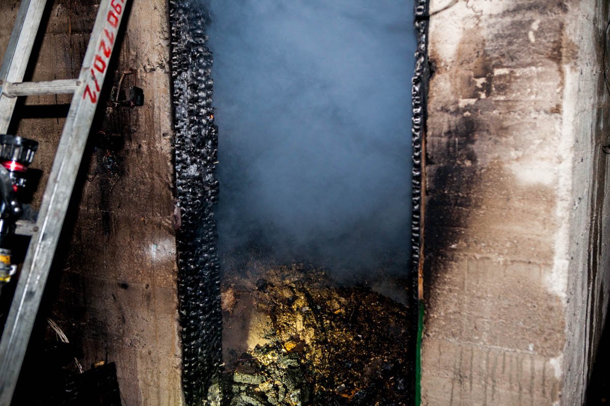 Фото Евгения Ошарина Фото Евгения Ошарина