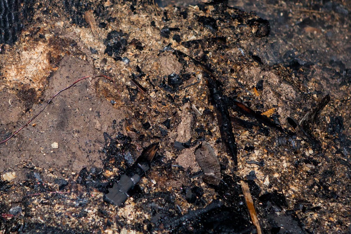 Весь двор дома был в угольках Весь двор дома был в угольках