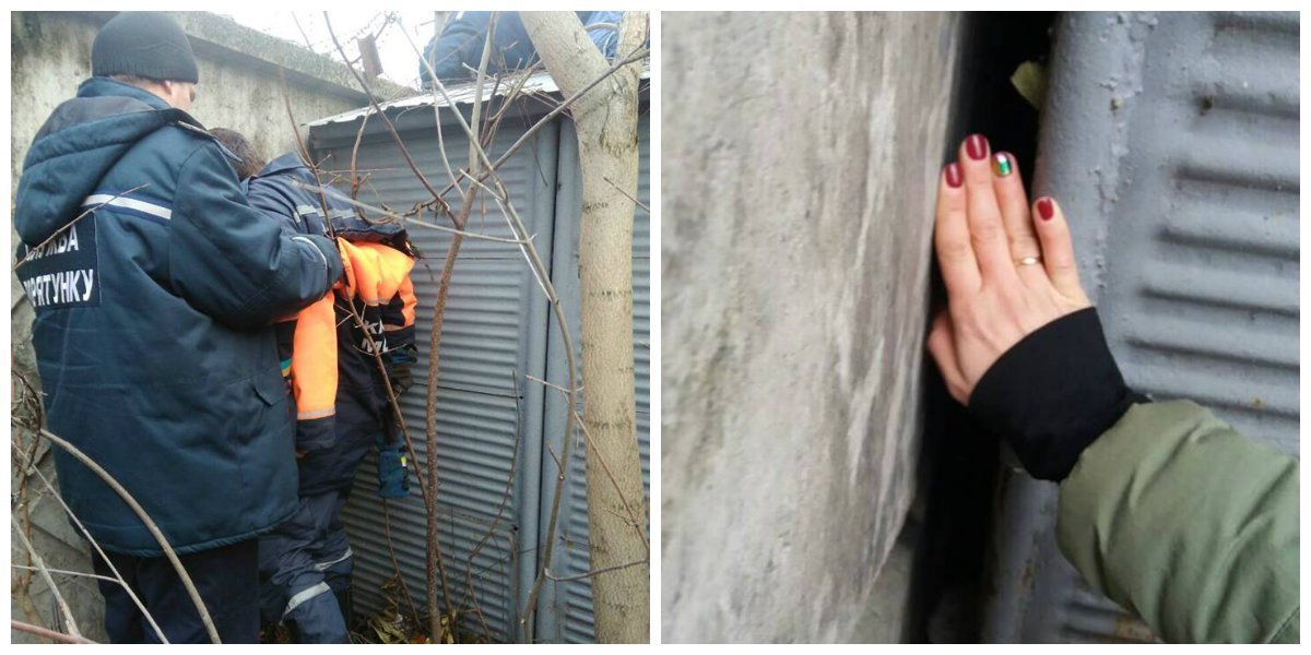 Спасателям удалось достать щенка из узкой щели между гаражами Спасателям удалось достать щенка из узкой щели между гаражами