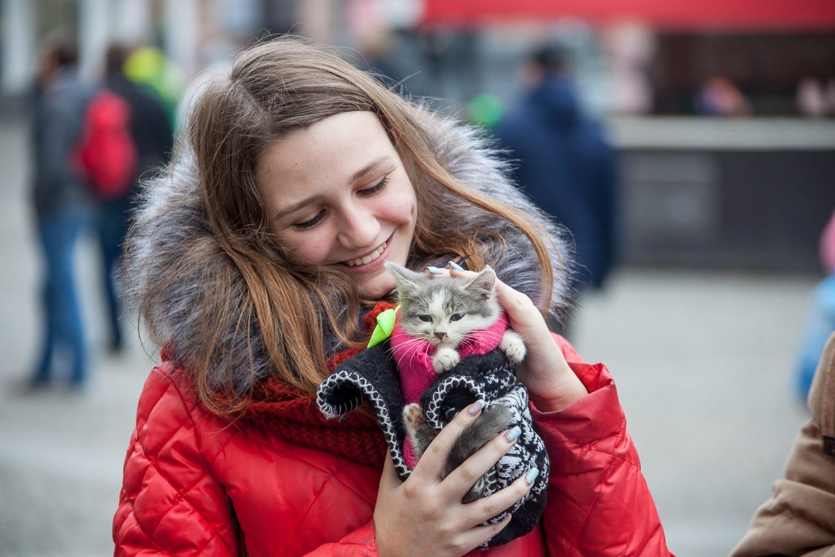 Кого-то греет теплая куртка, а кого-то тепло братьев наших меньших