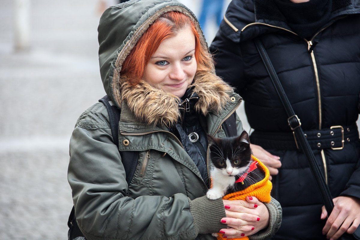 Все говорят, что у них есть кот. А ты возьми кота